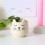 Mini pot pour plante chat - Sass & Belle