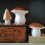 Petite lampe veilleuse champignon Cuivre - Egmont Toys