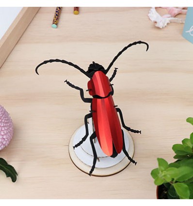 Insecte DIY Rosalia Beetle Rouge - Assembli