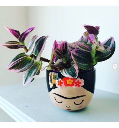 Mini pot Frida - Sass & Belle