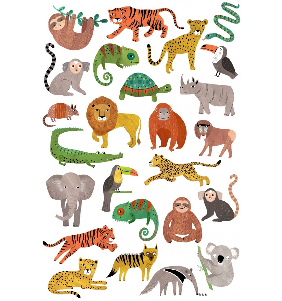 Les animaux de la jungle 🦁