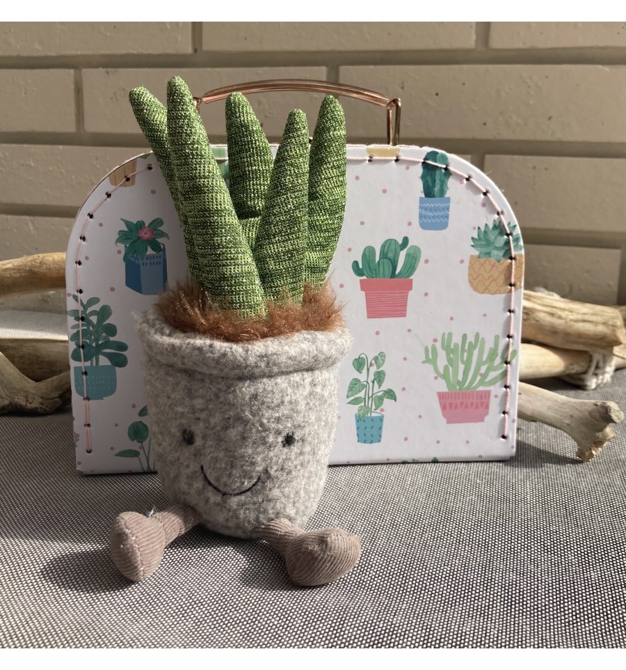 DIY : mon jardin miniature de cactus et succulentes - Les cahiers de  Lucie-Rose