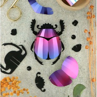 Insecte DIY Scarabée Violet - Assembli