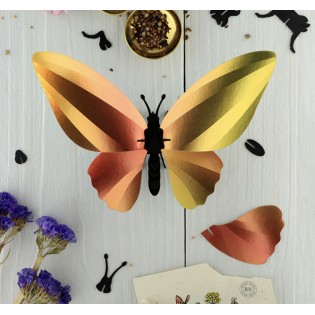 Papillon DIY Jaune - Assembli