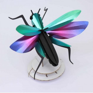 Insecte DIY Sauterelle Grasshopper - Assembli