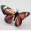 Insecte DIY Papillon Monarque - Assembli