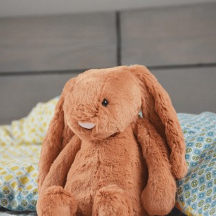 Jouet poupée en peluche lapin mignon et câlin 15 cm avec carotte