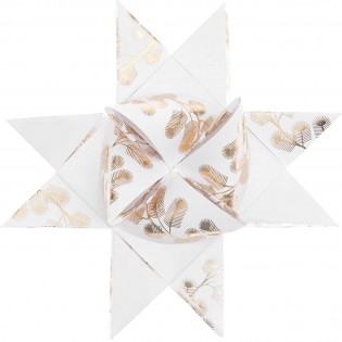 Kit de fabrication 10 étoiles de Fröbel blanches et dorées - Rico Design