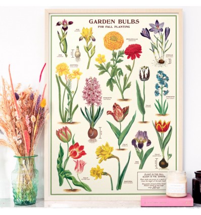 Affiche Bulbes du Jardin - Cavallini & Co