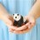 Panda en céramique - Dodo Toucan