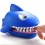 Dentier de requin - Tobar