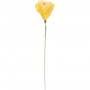 Fleur en papier Narcisse Jaune/blanc - Rico Design