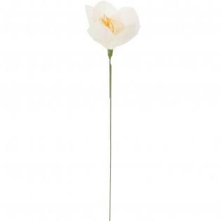 Fleur en papier Narcisse Blanc/vert - Rico Design